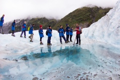 NZ_Westland_Fox-Glacier_ TERRA-TRIBUTA-9